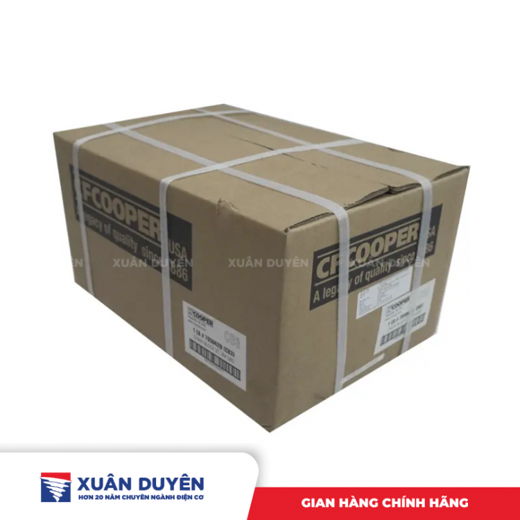 Pa lăng xích kéo tay 3tấn 3m Cooper 705042N