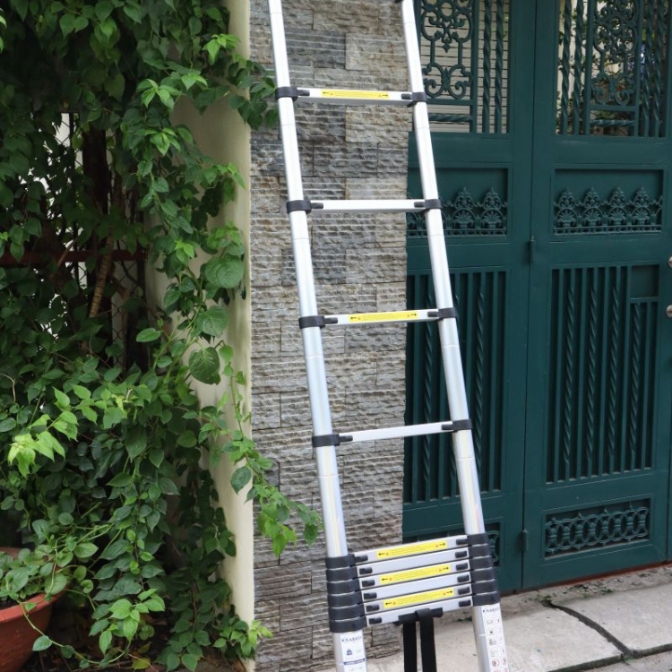 Thang nhôm đơn Nakata TY612 (rút 3m8 đứng, màu đen)